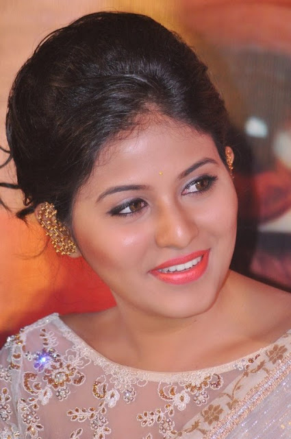 Tamil Actress Anjali New Pics In Saree 58